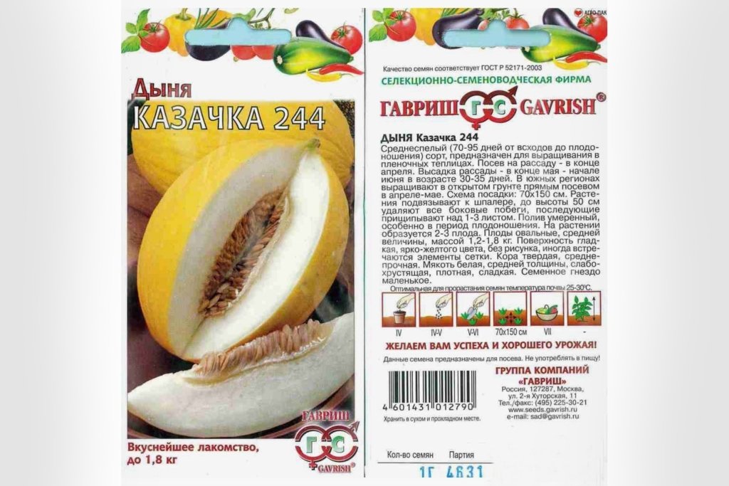 Семена Казачка 244