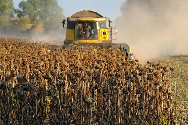 Обработка поля