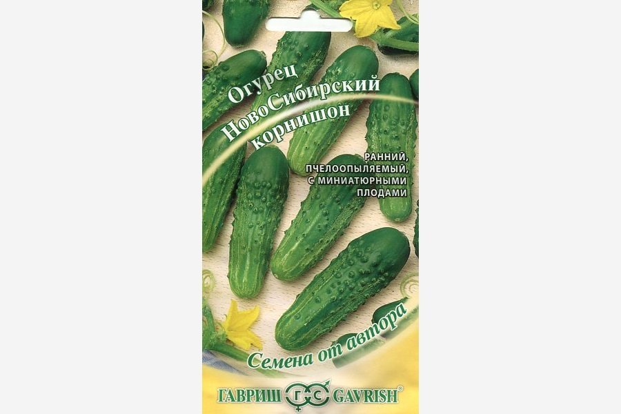 Новосибирский корнишон