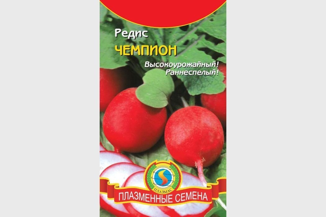 Чемпион