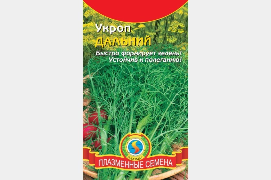 Дальний