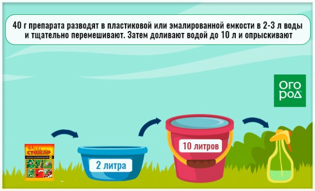 Яблоки без червоточин: три простых правила