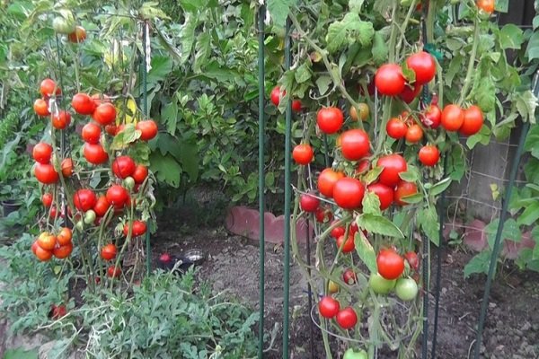 При помощи колпаков