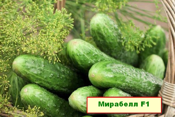 Корнишоны Мирабелл F1