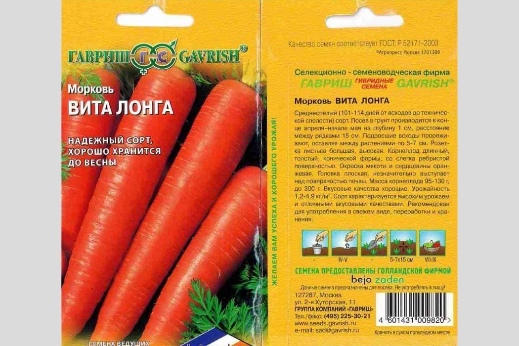 Вита Лонга