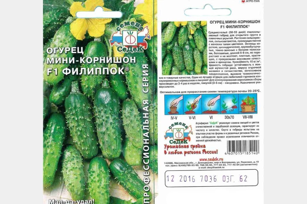 Мини-корнишон Филиппок