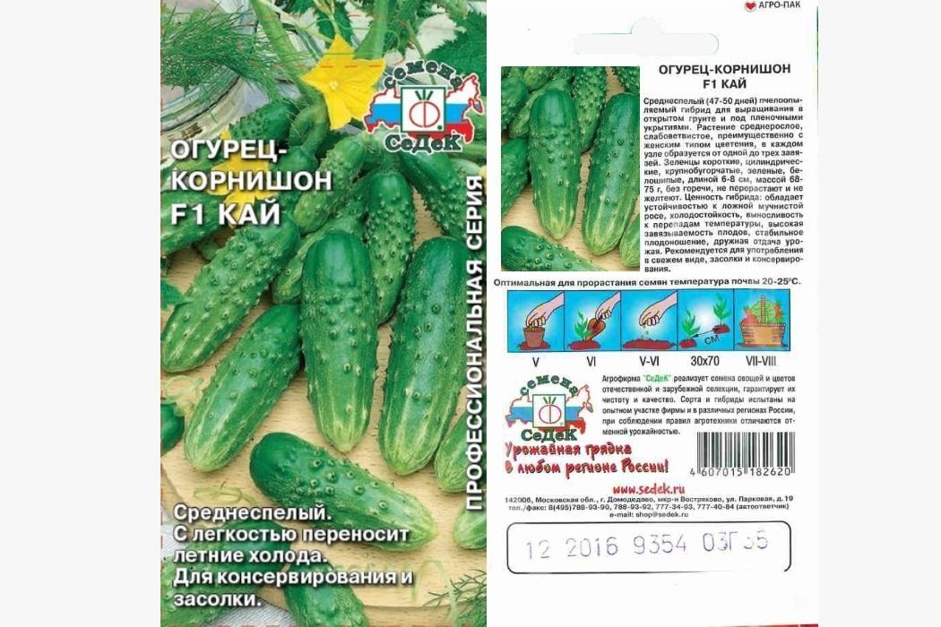 Огурец-корнишон Кай