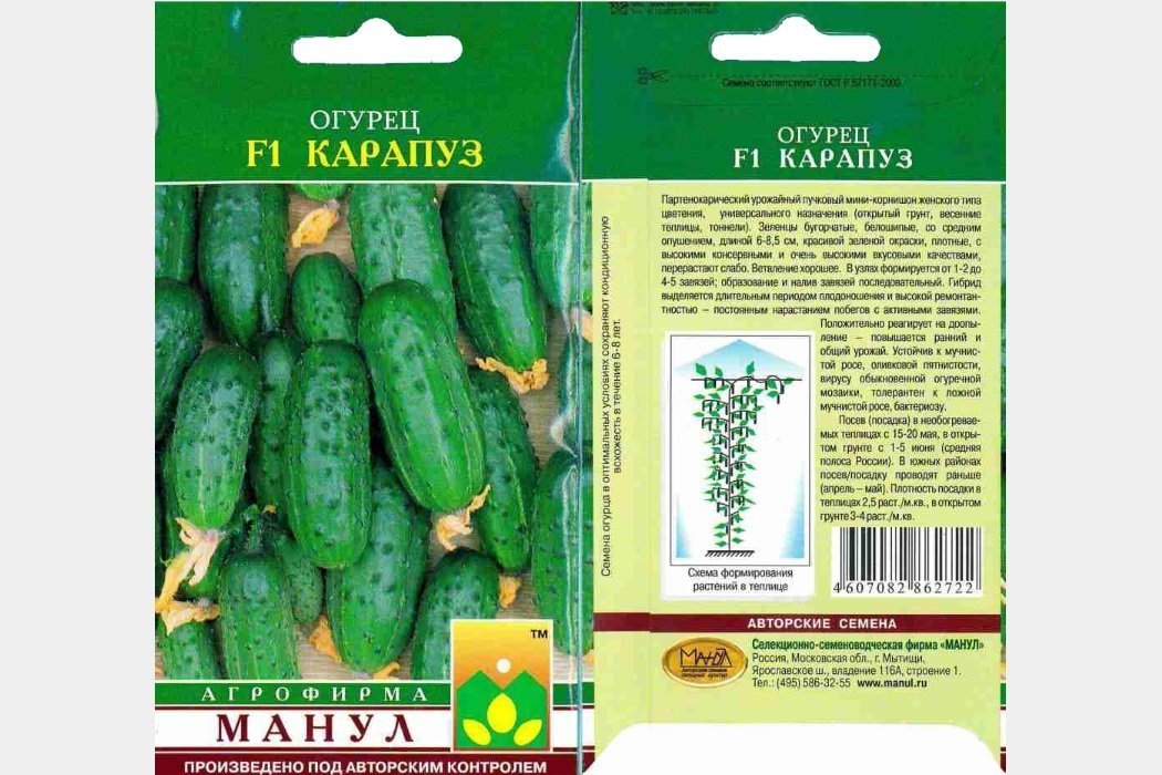 Карапуз