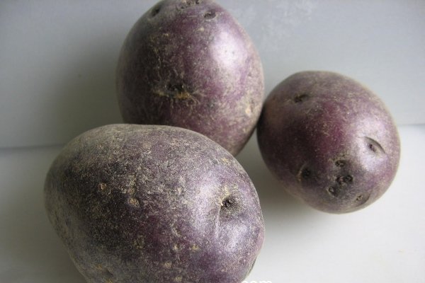Сбор урожая картофеля