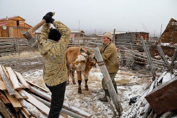Оглушение с обескровливанием