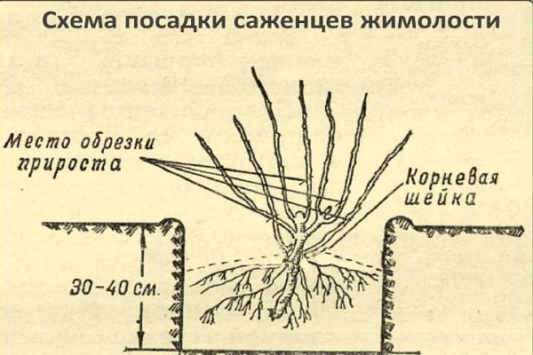 Схема посадки