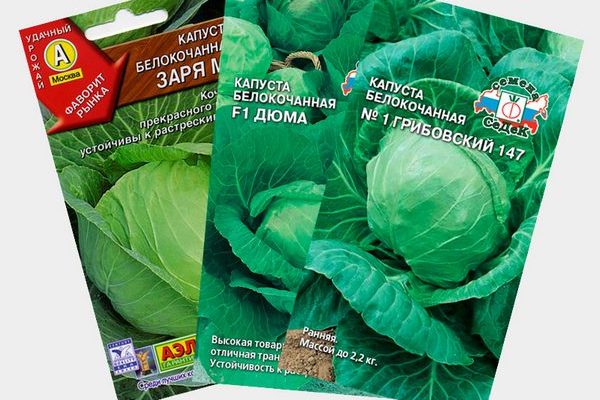 Семена капусты ранних сортов