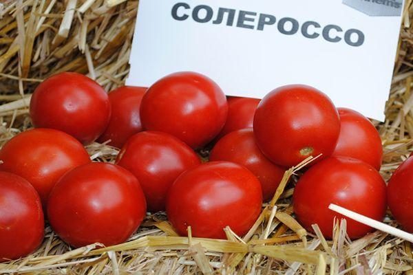 Помидоры Солероссо