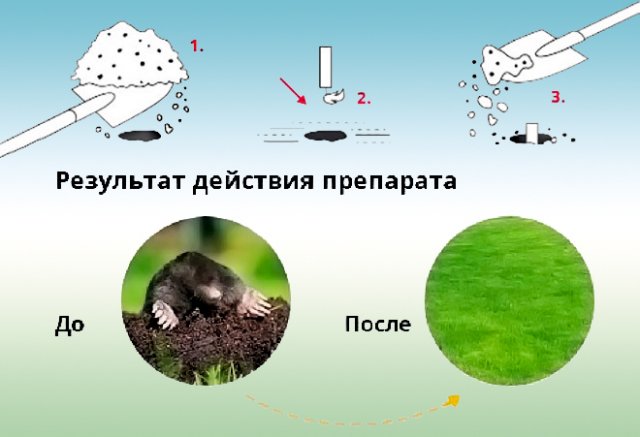 Ваш газон перекопан: как избавиться от кротов