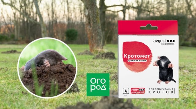 Ваш газон полон: как избавиться от кротов