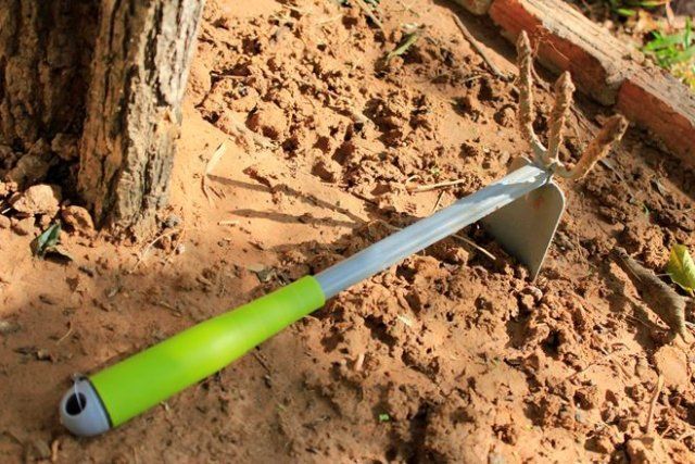 Выберите средство для борьбы с сорняками