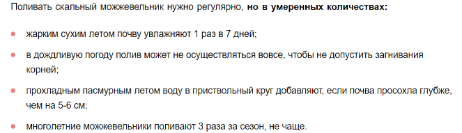 Можжевельник скальный