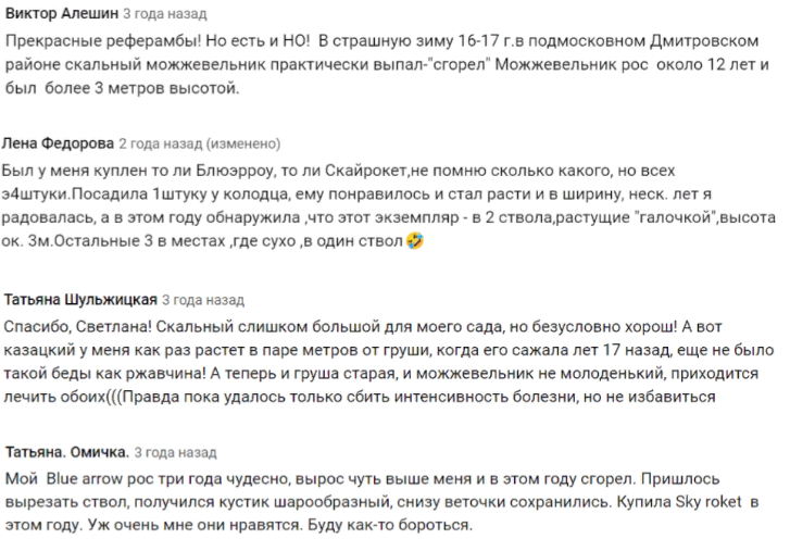 Можжевельник скальный