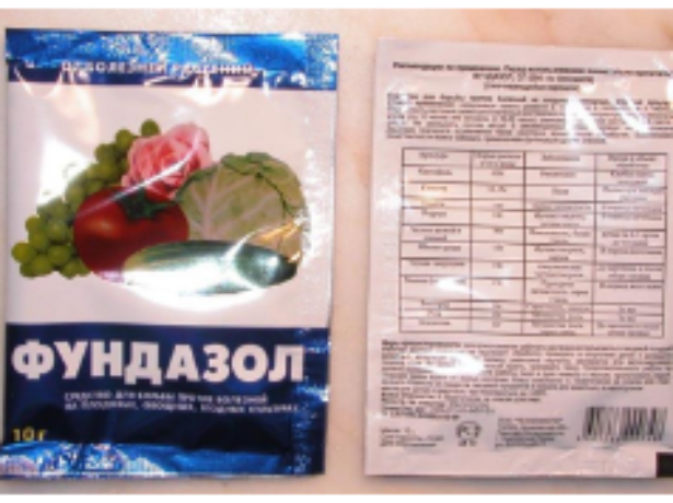 Клематис Жакмана
