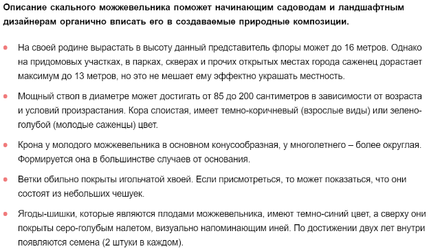 Можжевельник скальный