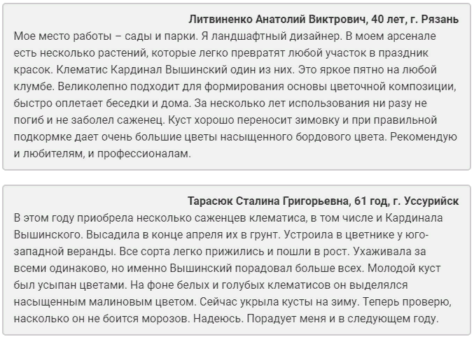 Клематис Кардинал Вышинский