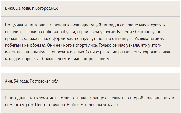 Клематис Кардинал Вышинский