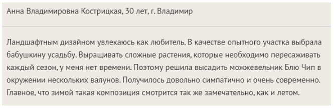 Можжевельник Блю Чип
