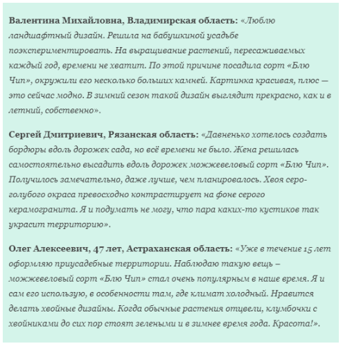 Можжевельник Блю Чип