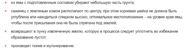 Можжевельник скальный