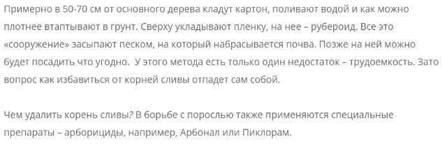 Уход за сливой 