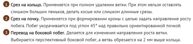 Обрезка сливы