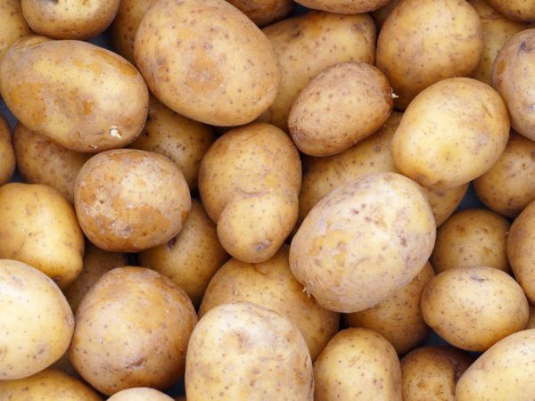 Урожайность картофеля
