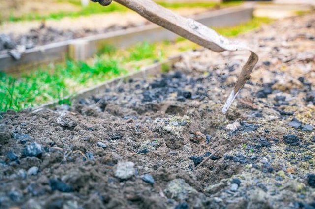 Как поменять лопату: 5 практичных и доступных вариантов