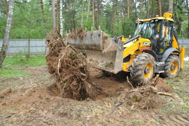 9 эффективных способов выкорчевать старый пень на месте