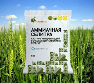 Аммиачная селитра