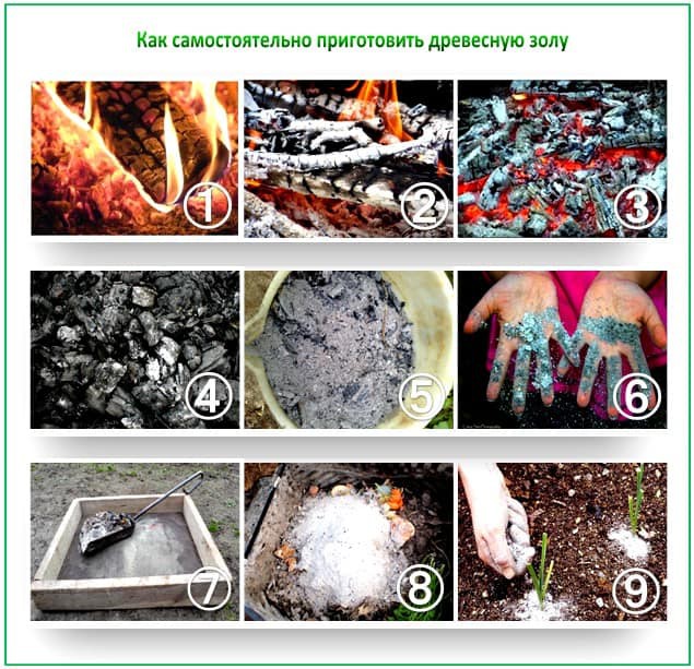 Как приготовить настоящую золу