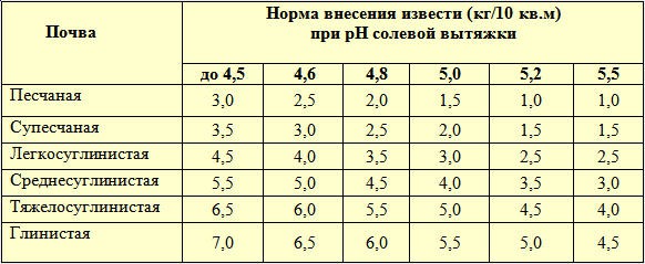 Что делать с кислым грунтом