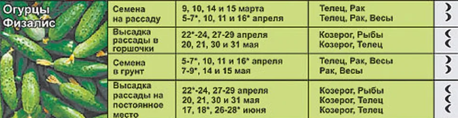 Календарь посера огурцов