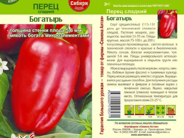 Богатырь