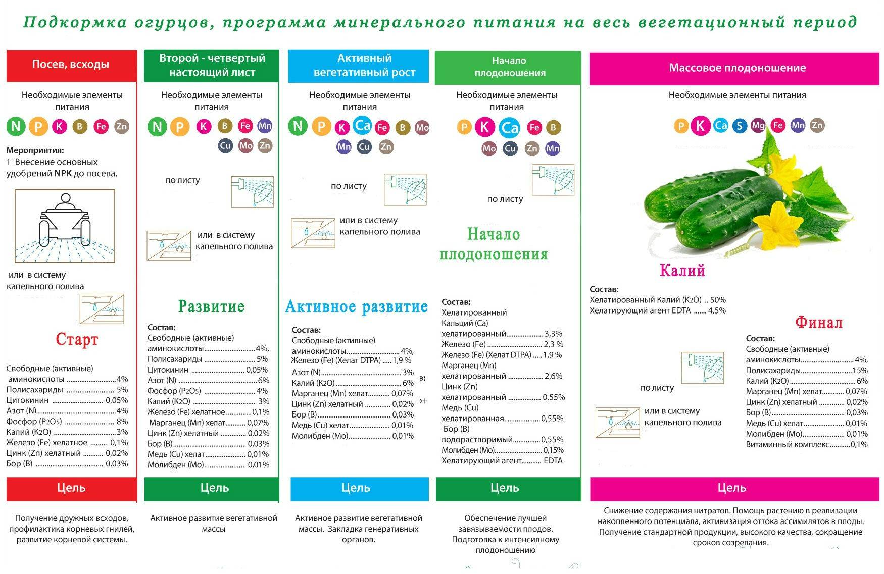 Подкормка